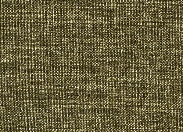 Ткань Designers Guild Rinzu F1393/15