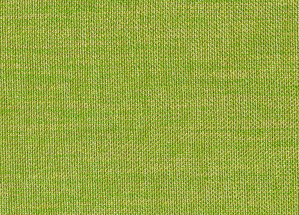 Ткань Designers Guild Rinzu F1393/26