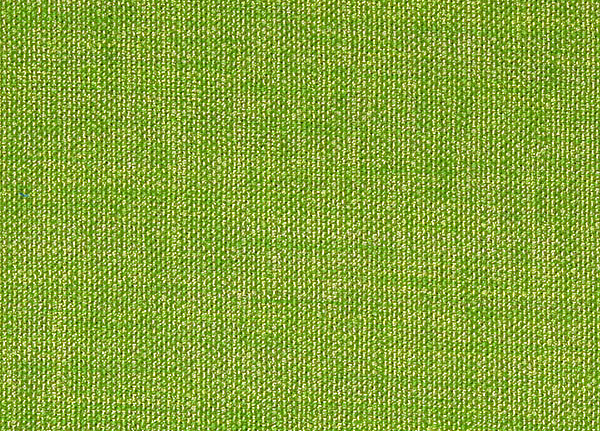 Ткань Designers Guild Rinzu F1393/27