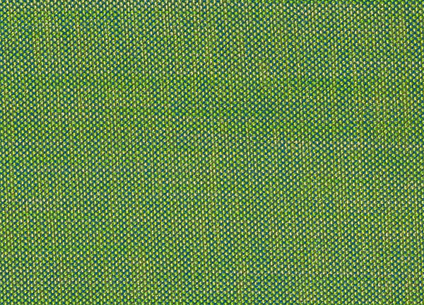 Ткань Designers Guild Rinzu F1393/28