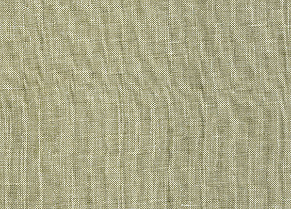 Ткань Designers Guild Moselle F1420/01