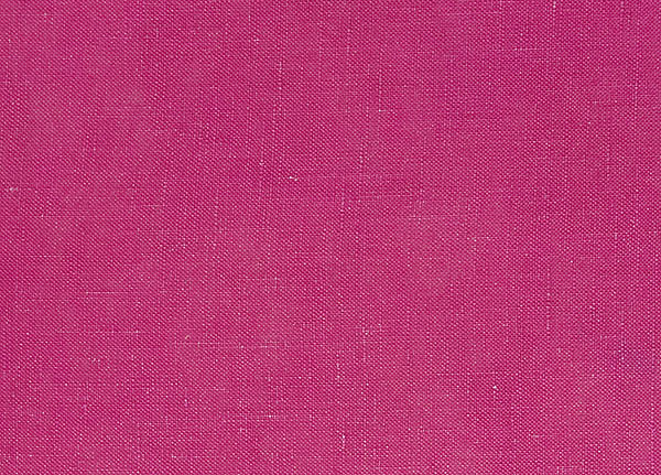 Ткань Designers Guild Tsuga F1420/05