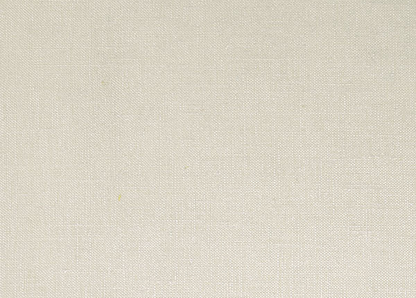 Ткань Designers Guild Tsuga F1420/07