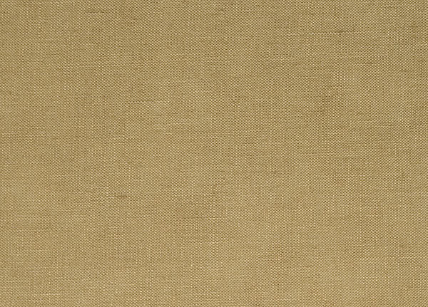 Ткань Designers Guild Tsuga F1420/09