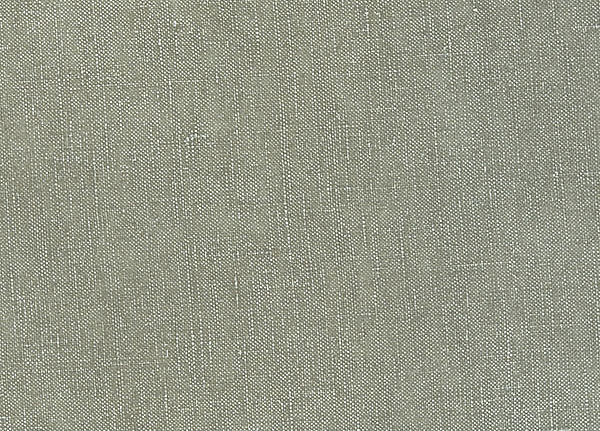 Ткань Designers Guild Tsuga F1420/24