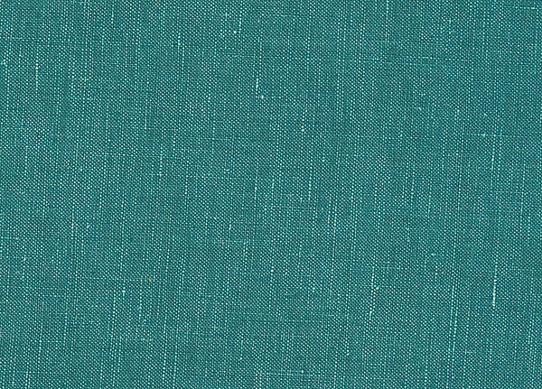 Ткань Designers Guild Tsuga F1420/31