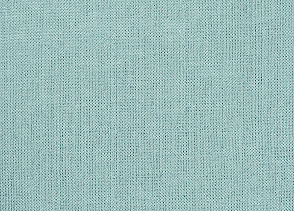 Ткань Designers Guild Tsuga F1506/02