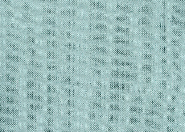 Ткань Designers Guild Tsuga F1506/02