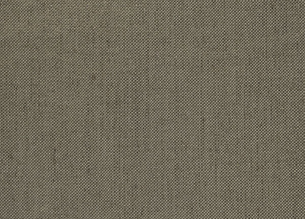 Ткань Designers Guild Tsuga F1506/08