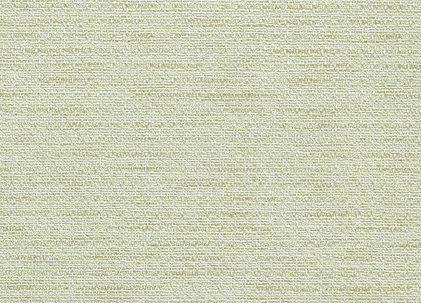 Ткань Designers Guild Racine F1508/01