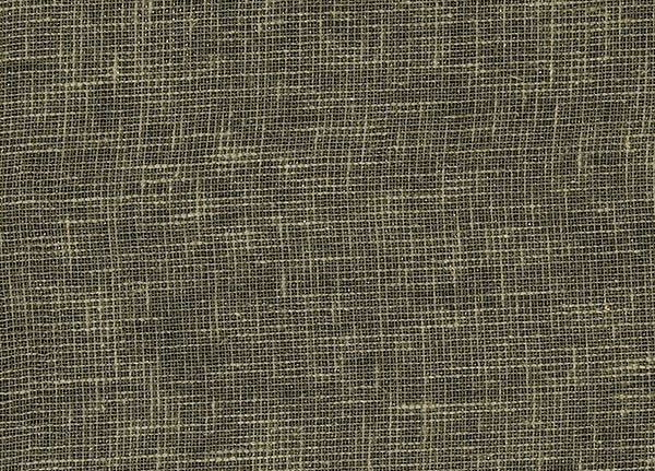 Ткань Designers Guild Bilbao F1561/03
