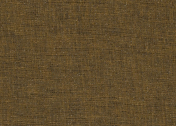 Ткань Designers Guild Bilbao F1561/25