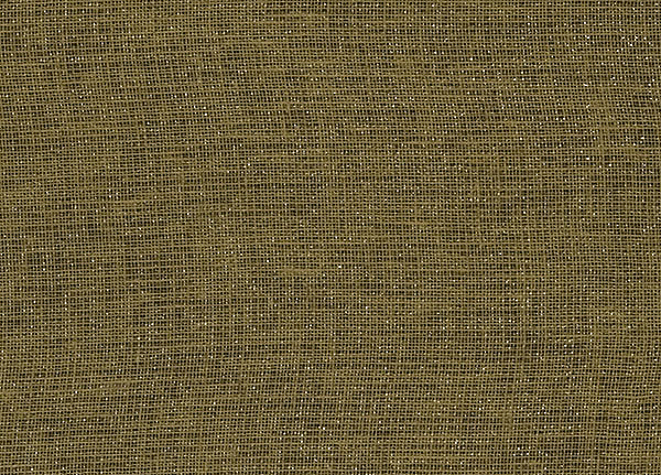 Ткань Designers Guild Bilbao F1561/26