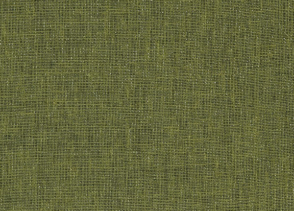 Ткань Designers Guild Bilbao F1561/27