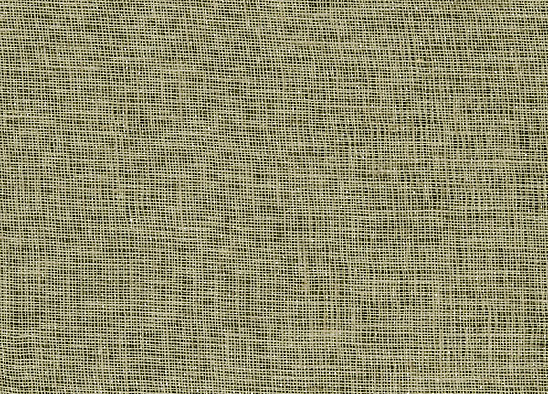 Ткань Designers Guild Bilbao F1561/28