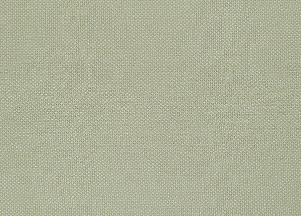 Ткань Designers Guild Bassano F1562/01