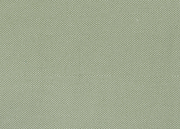 Ткань Designers Guild Bassano F1562/02