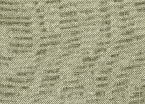 Ткань Designers Guild Bassano F1562/03