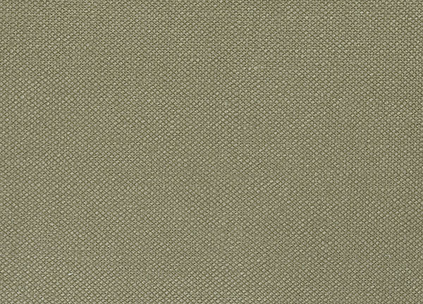 Ткань Designers Guild Bassano F1562/04