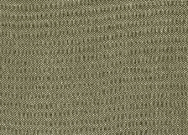 Ткань Designers Guild Bassano F1562/05