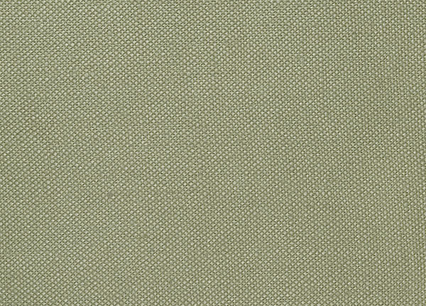 Ткань Designers Guild Bassano F1562/17