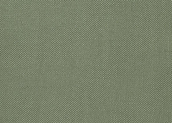 Ткань Designers Guild Bassano F1562/18