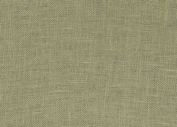 Ткань Designers Guild Bassano F1563/01