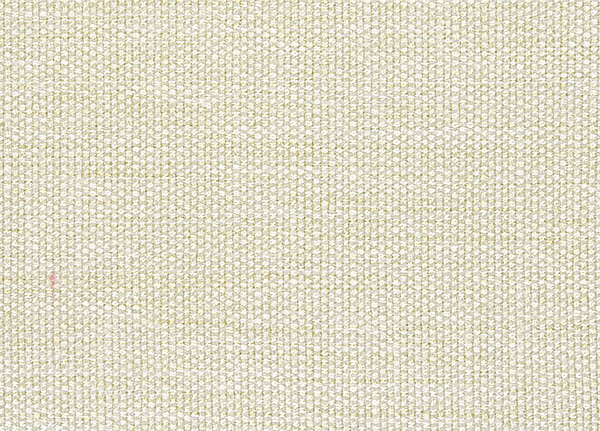 Ткань Designers Guild Rinzu F1599/01