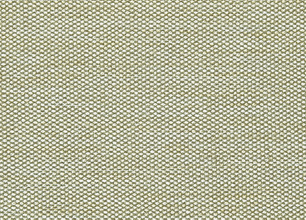 Ткань Designers Guild Rinzu F1599/04