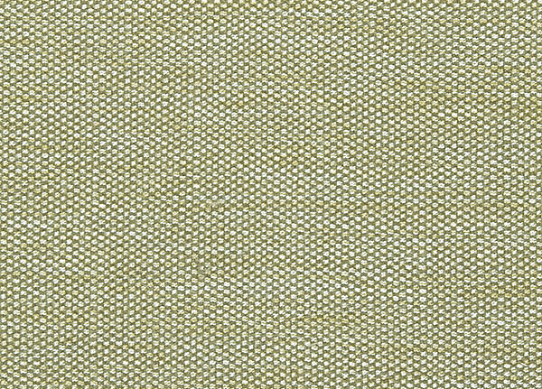 Ткань Designers Guild Rinzu F1599/05