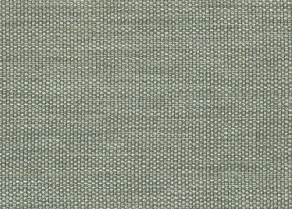 Ткань Designers Guild Rinzu F1599/09