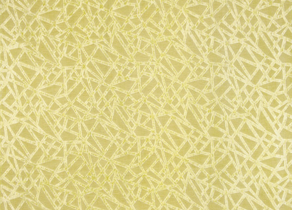 Ткань Designers Guild Cassan F1706/05