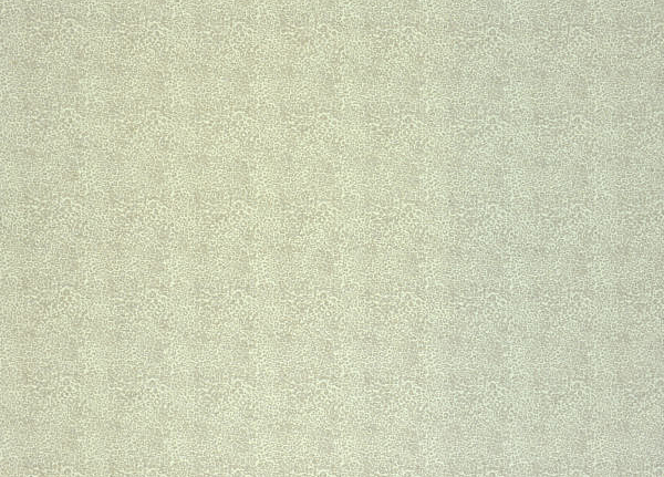 Ткань Designers Guild Bernardini F1766/01