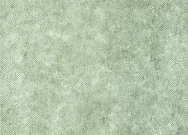 Ткань Designers Guild Trasimeno F1787/01