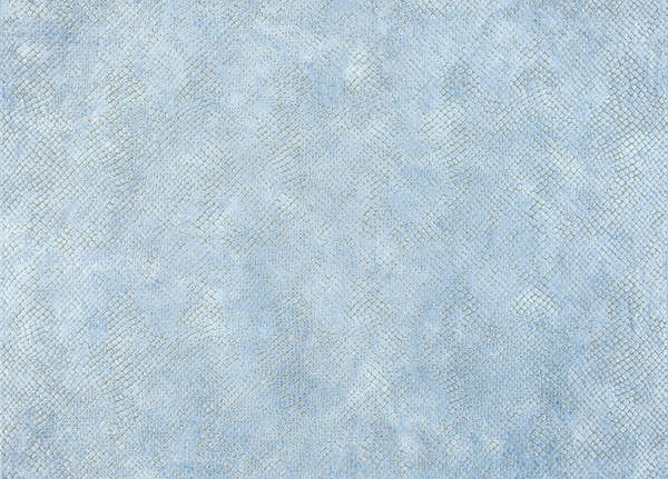Ткань Designers Guild Trasimeno F1787/02