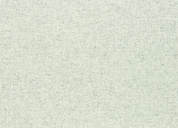 Ткань Designers Guild Cheviot F1865/04