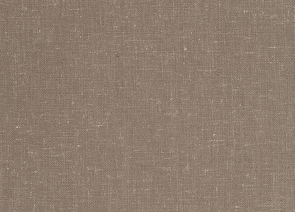 Ткань Designers Guild Panaro F1869/03