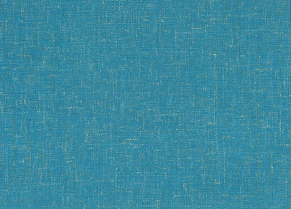 Ткань Designers Guild Panaro F1869/08