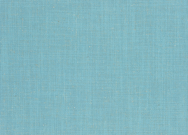 Ткань Designers Guild Panaro F1869/09