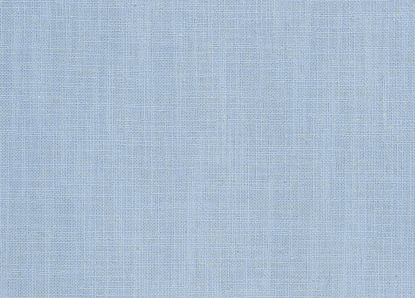 Ткань Designers Guild Panaro F1869/11