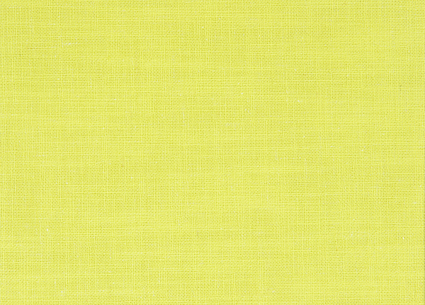 Ткань Designers Guild Panaro F1869/17