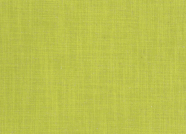 Ткань Designers Guild Panaro F1869/19