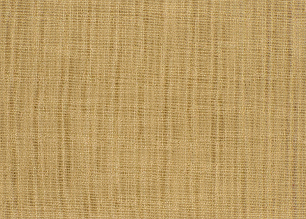 Ткань Designers Guild Panaro F1871/02