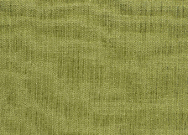 Ткань Designers Guild Panaro F1871/20