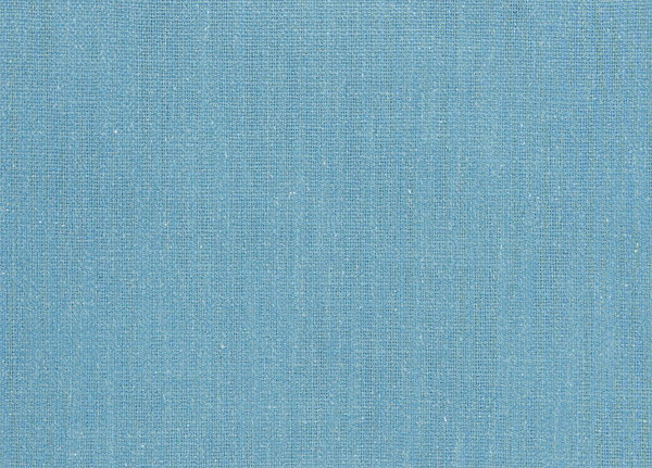 Ткань Designers Guild Panaro F1871/24