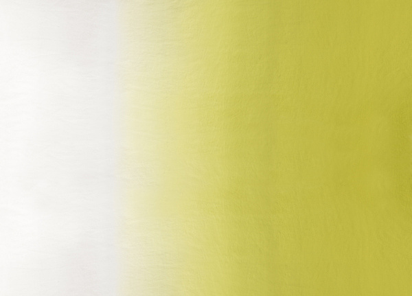 Ткань Designers Guild Mazan F1879/04