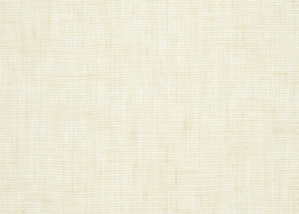 Ткань Designers Guild Mazan F1882/04