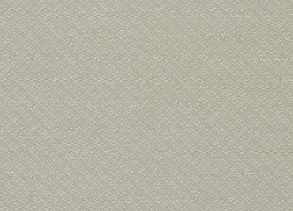 Ткань Designers Guild Perreau F1906/02