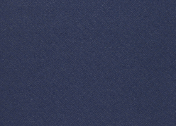 Ткань Designers Guild Perreau F1906/04