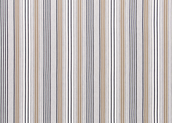 Ткань Designers Guild Tickings F1907/01